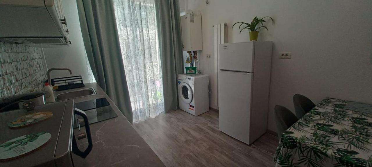 Green Leaf, 2 Camere, Mamaia Nord ナボダリ エクステリア 写真